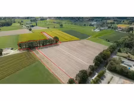 terrain agricole à vendre à hamont à partir de € 17.850