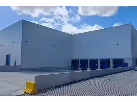 entrepôt moderne à louer - gand