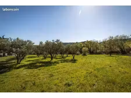 grand terrain constructible 2 600 m² – cadre naturel privilégié – péret (hérault)