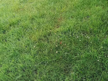 terrain constructible neuf à vendre
