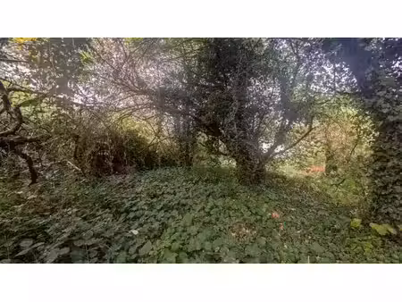 vente terrain 408 m² à pressins (38480)  56 000 €