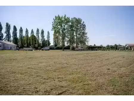 vente terrain 1500 m² à latrille (40800)  60 000 €
