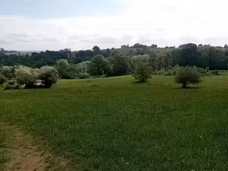 vente terrain 4620 m² à fréchou-fréchet (65190)  75 000 €