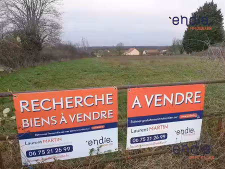 vente terrain à batir 4325 m² à saint-plaisir (03160)  57 000 €