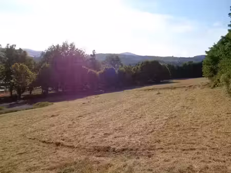 vente terrain 889 m² à saint-germain-laprade (43700)  62 000 €