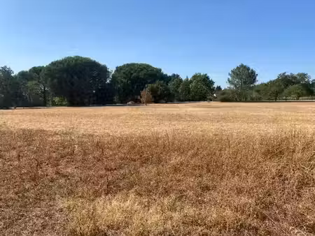 vente terrain 500 m² à nohic (82370)  70 000 €