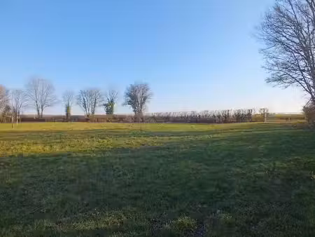 vente terrain 5990 m² à musigny (21230)  77 500 €