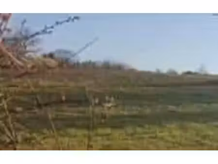 terrain constructible neuf à vendre