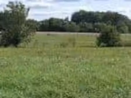 terrain constructible neuf à vendre