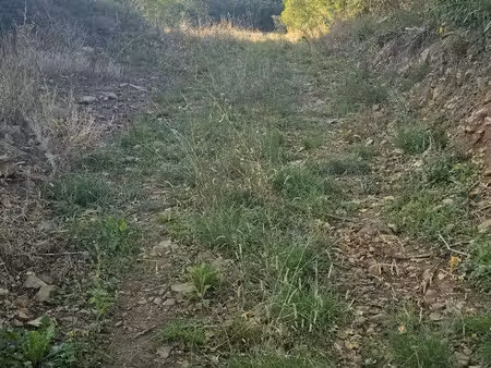 terrain à vendre