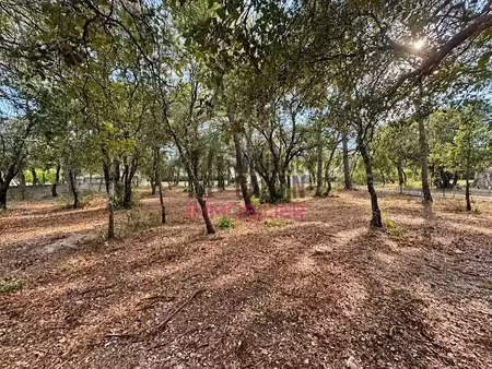 vente terrain à batir 1326 m² à saint-didier (84210)  276 800 €