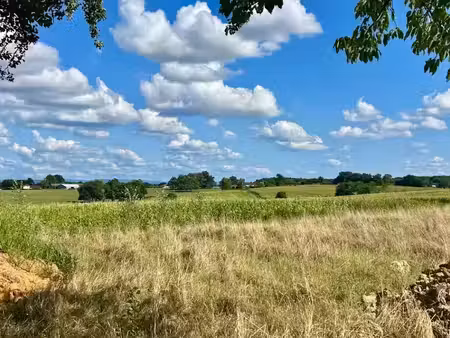 vente terrain 1113 m² à saint-martin-le-châtel (01310)  85 000 €
