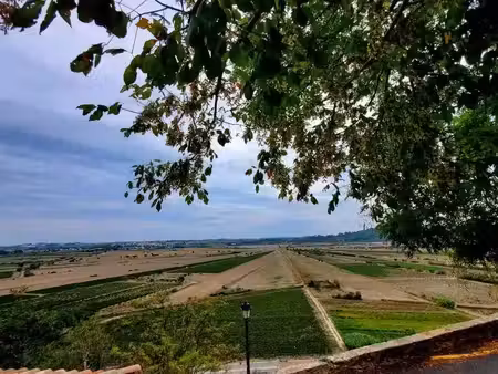 vente terrain 267 m² à montady (34310)  87 000 €