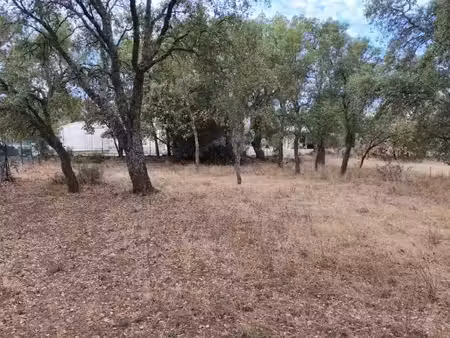 vente terrain 450 m² à le cannet-des-maures (83340)  99 000 €
