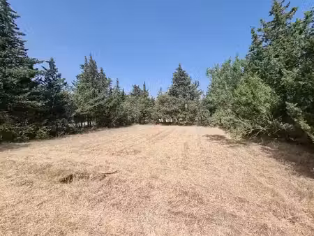 vente terrain 710 m² à grillon (84600)  99 900 €