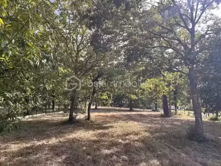 vente terrain 2260 m² à grayan-et-l'hôpital (33590)  142 000 €