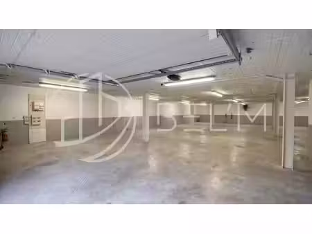 vente local d’activités saint-maur-des-fossés 94100 250m² à 450m²