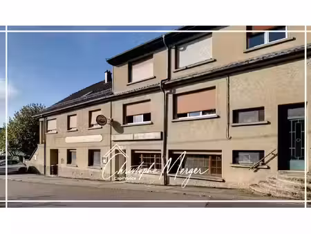 immeuble à vendre dolving 1115m2 426 000€