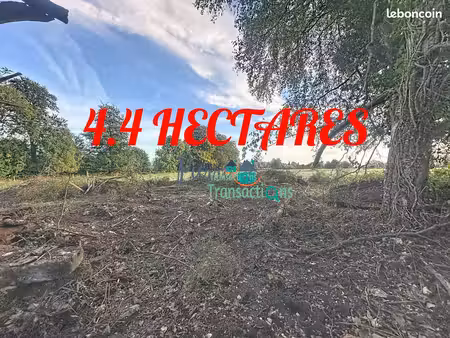 maison 4 pièces 227 m²