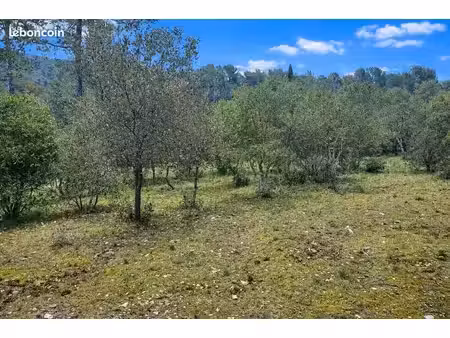 terrain 1 001 m² gareoult