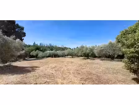 vente terrain 1310 m² à montfrin (30490)  230 000 €