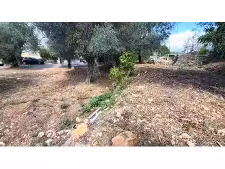 vente terrain 688 m² à la trinite (06340)  250 000 €