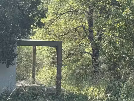 cosy home en pleine forêt autonome