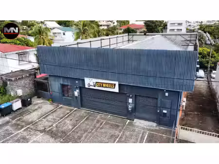 immeuble à vendre