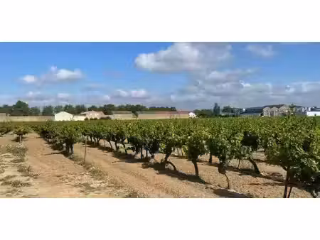 terrain constructible neuf à vendre