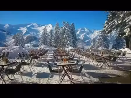 restaurant bar