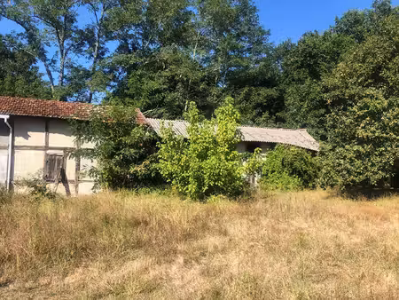 immeuble à vendre