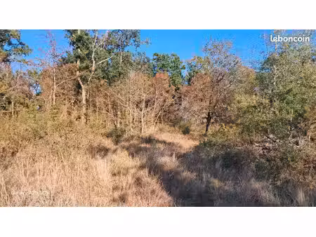 vend terrain avec cu