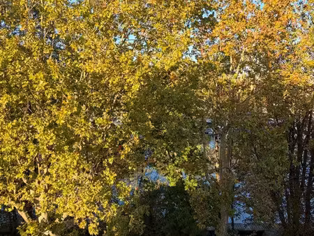 appartement bords de marne