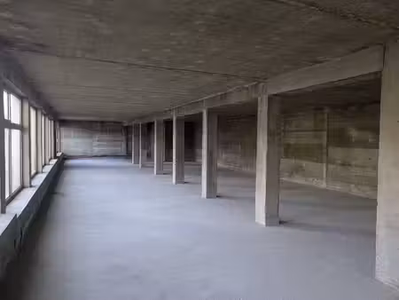 local commercial à louer