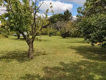 terrain constructible de 1156 m² possibilité de construire 2 maisons