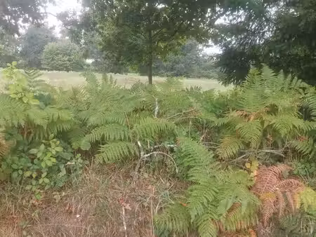 a vendre terrain a batir plouigneau