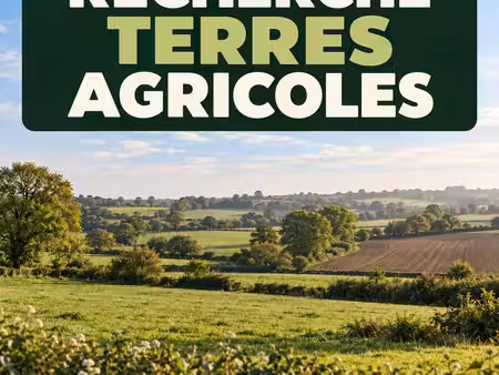 terrain agricole