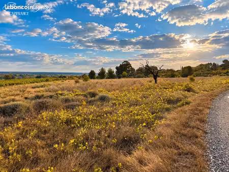 terrain agricole 10 097 m² corneilhan