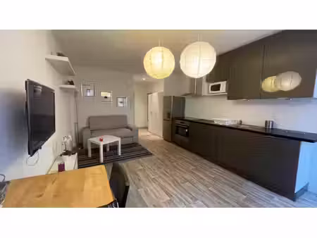 thann centre-ville studio meublé rénové 36.18m2