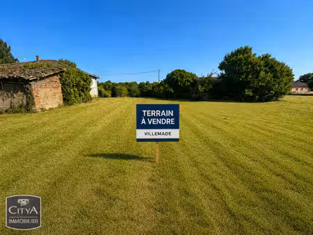 terrain