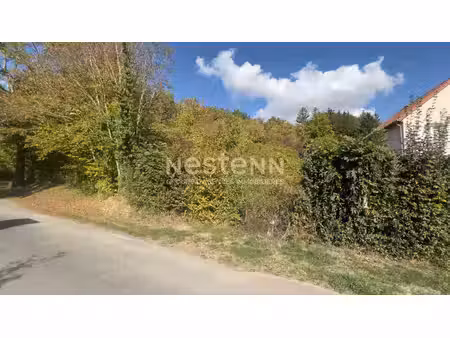 bar-le-duc terrain de loisirs de 2915m² avec maisonnettes de 4 m² et 9 m²