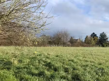 terrain constructible 700m2 viabilisé - libre de constructeur - châteauneuf d'ille-et-vila