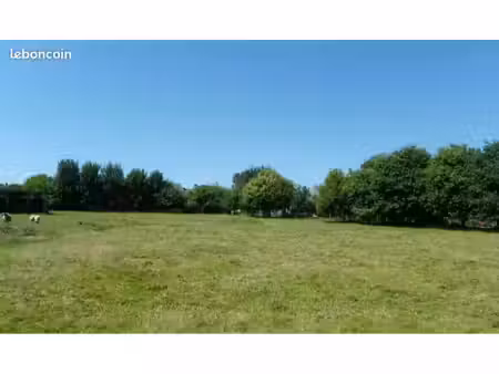 recherche terrain boisé ou pas