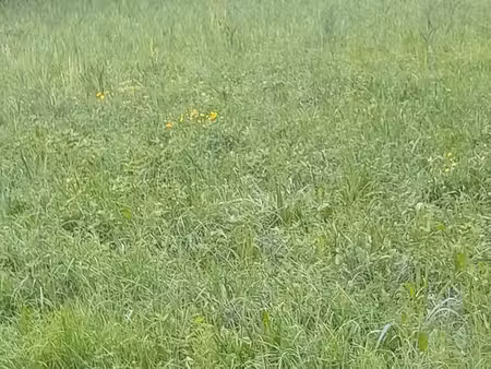 rare terrain constructible le bourg d'oisans