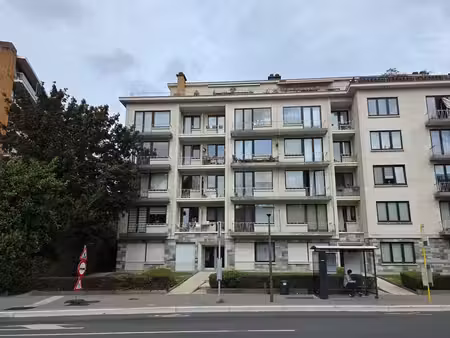 rez - appartement 1 chambre en profession libérale