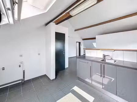 bel appartement 1 ch avec jardin et parking communs