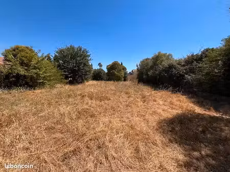 terrain 584 m² montpellier