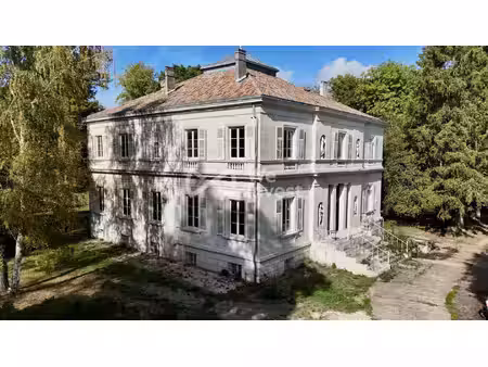 château à vendre