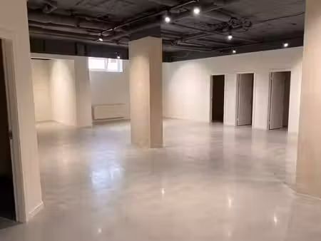 superbe surface de 270 m² à aménager au centre-ville - sous-