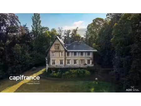 château à vendre